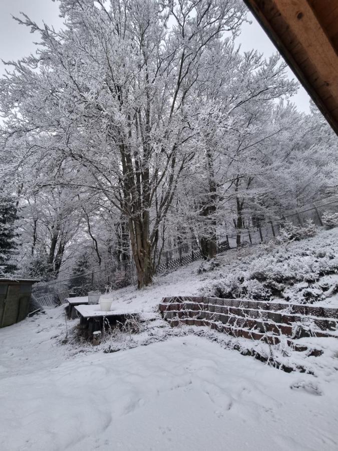 Ferienwohnung Schneeberg Stryck Eksteriør billede